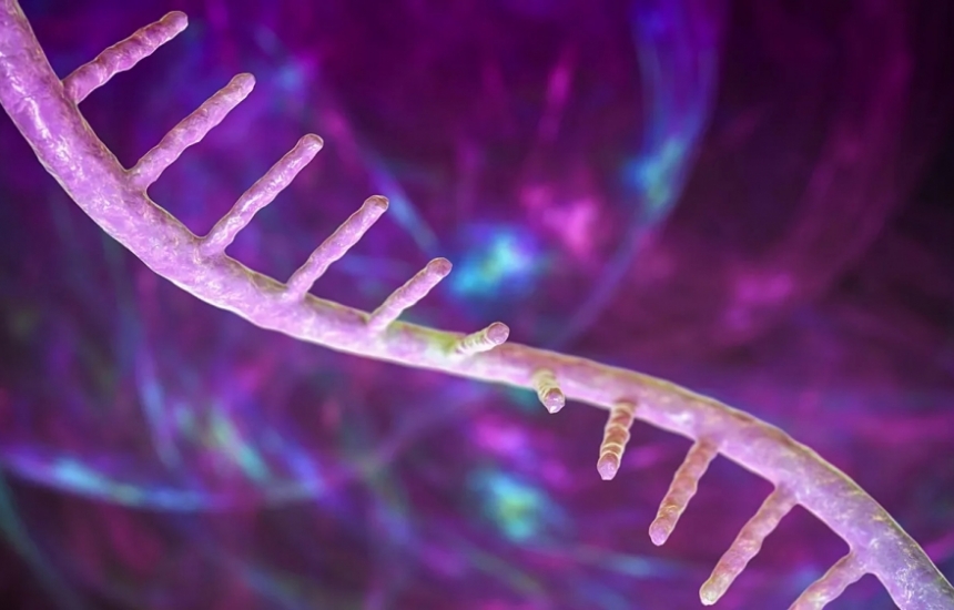 Откриват нов път към по-мощни mRNA лекарства