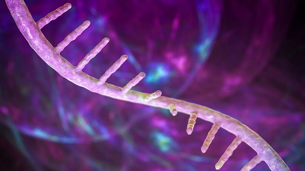 Откриват нов път към по-мощни mRNA лекарства
