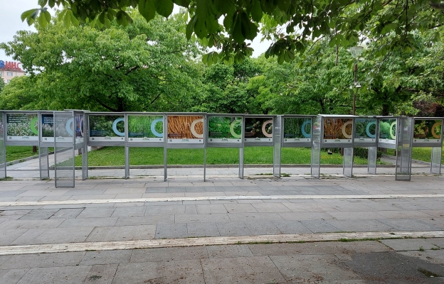 В обектива са полените 