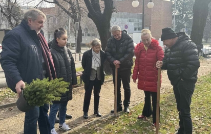 Засадиха чудната елха в Ст.Загора