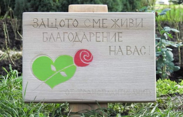 Рози в памет на донорите на органи